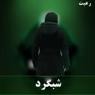 شبگرد